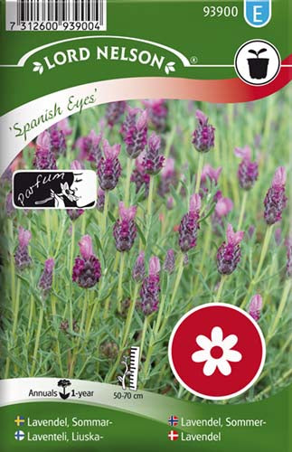 Lavendel, Spanish Eyes