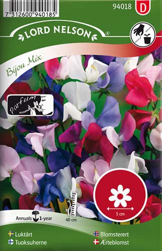 Ærteblomst, Bijou Mix, lav