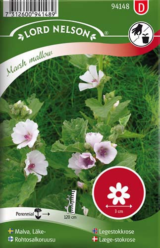Læge-stokrose, Marsh mallow