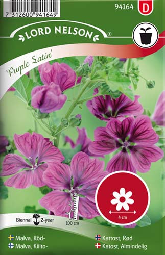 Katost, Almindelig, Purple Satin