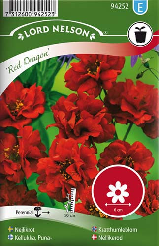 Nellikerod, Red Dragon