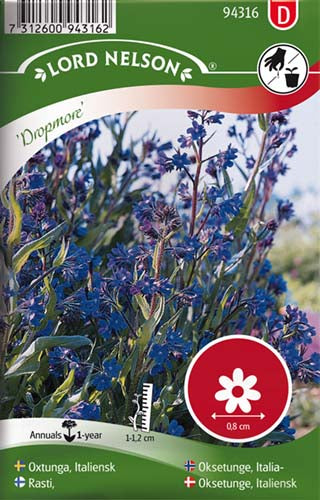 Oksetunge, Italiensk, Dropmore