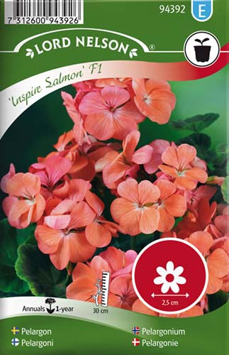 Pelargonie, Inspire Salmon F1