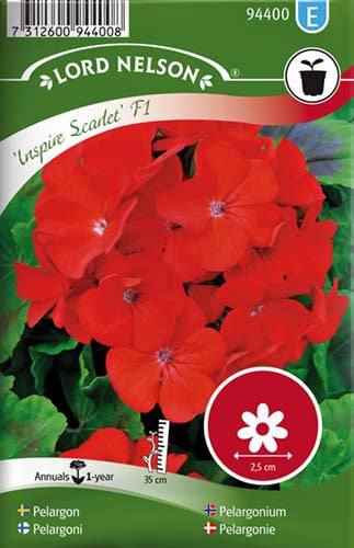 Pelargonie, Inspire Scarlet F1, rød