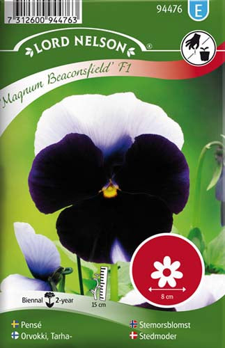 Stedmoder, Magnum Beaconsfield F1