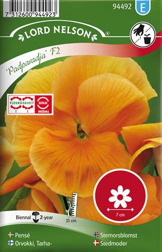 Stedmoder, Padparadja F2