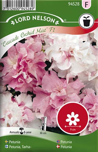 Petunia, Dobbelt, Cascade Orchid Mist F1