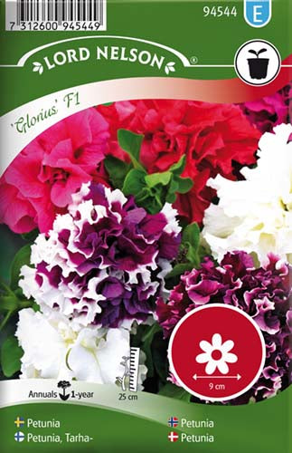 Petunia, Dobbelt, Glorious F1, bl. farv