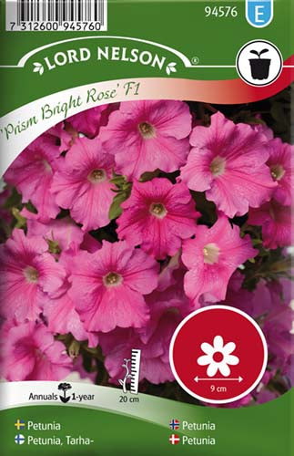 Petunia, Prism Bright Rose F1, storbl.