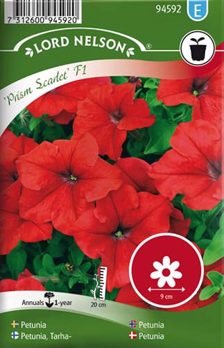 Petunia, Prism Scarlet F1, storbl.