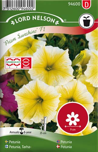 Petunia, Prism Sunshine F1, storbl.