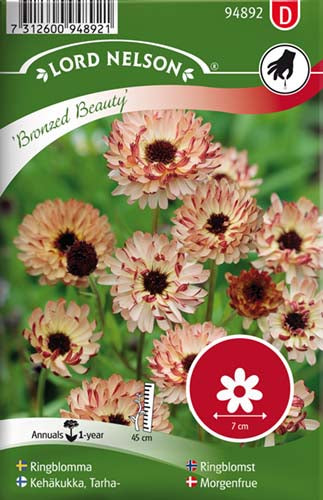 Morgenfrue, Have, Bronzed Beauty