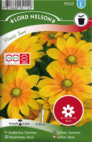 Solhat, Håret, Praire Sun – Bjarne's frø og planter