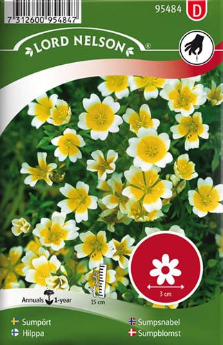 Sumpblomst