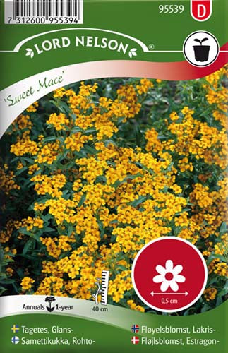 Fløjlsblomst, Estragon-, Sweet Mace