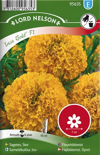 Fløjlsblomst, Opret, Inca Gold F1