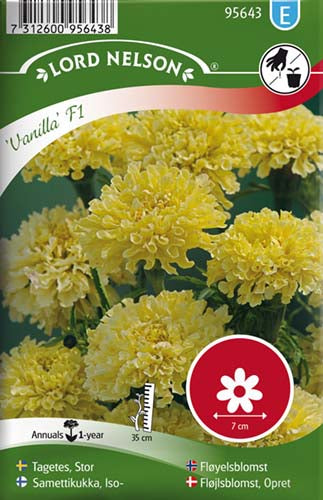 Fløjlsblomst, Opret, Vanilla F1