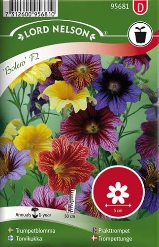 Trompettunge, Bolero F2