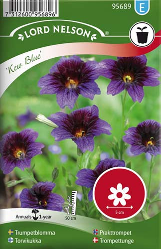 Trompettunge, Kew Blue
