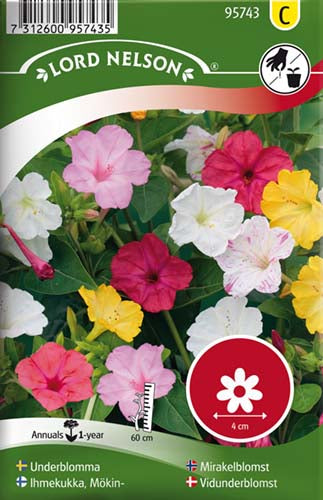 Vidunderblomst, bl. farver