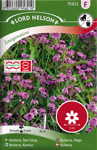 Verbena, Imagination