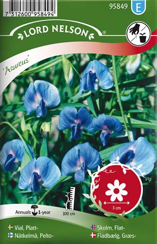 Fladbælg, Græs-, Azureus