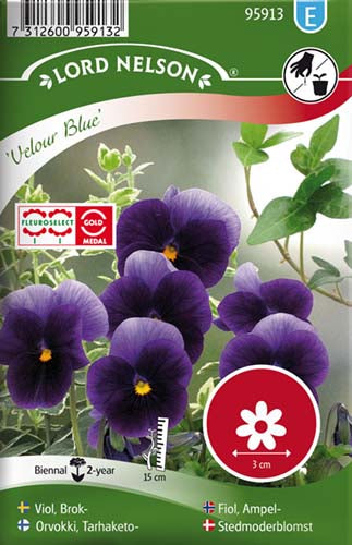 Stedmoderblomst, Velour Blue
