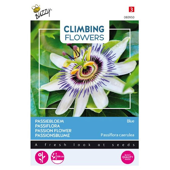 Passiflora caerulea  'Blue Crown'