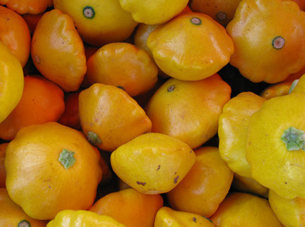 Patty Pan / Scallop - Sommer Squash