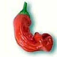 Peter Penis Pepper  Rød - 2 frugter