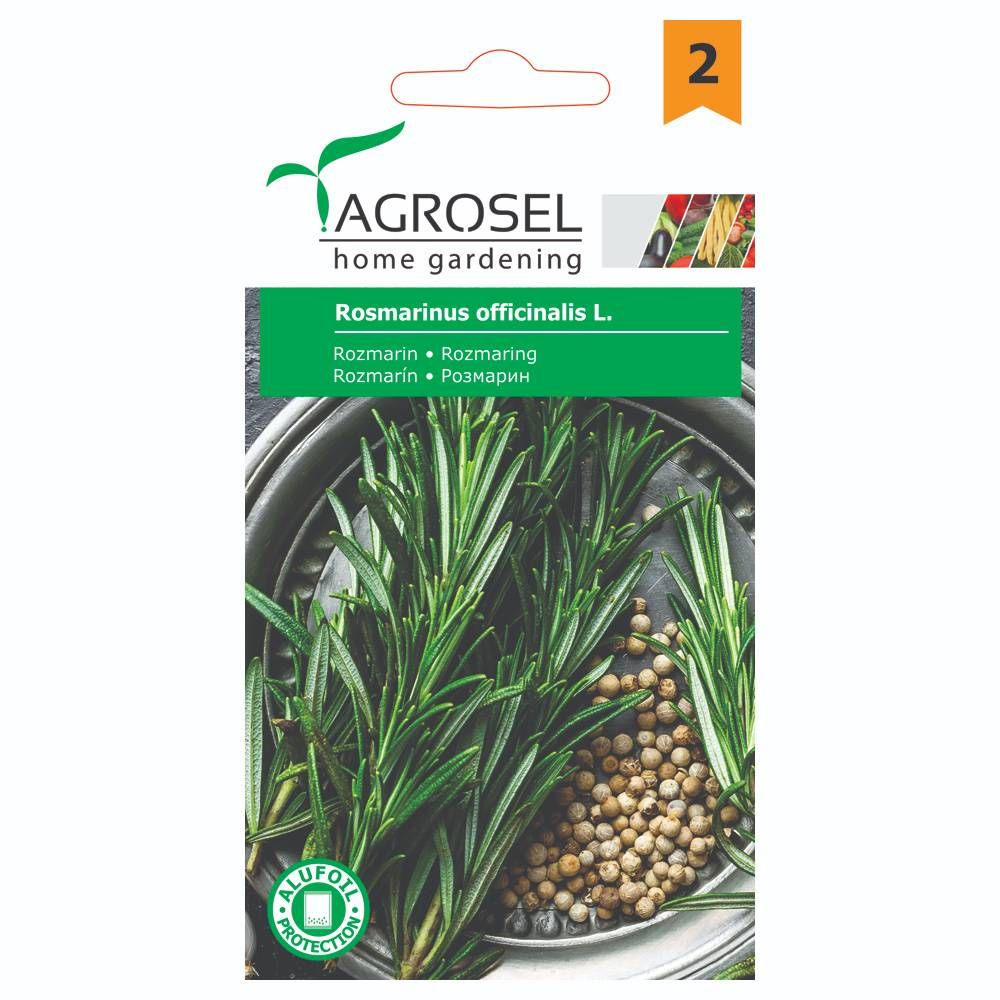 Rosmarin - Rosmarinus Officinalis L. - PG2