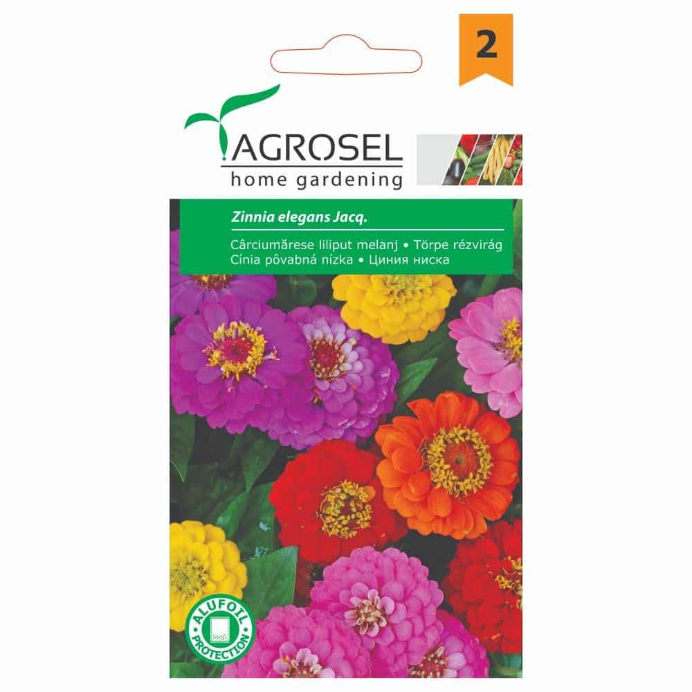 Frøkenhat Dværg- Zinnia Elegans Jacq