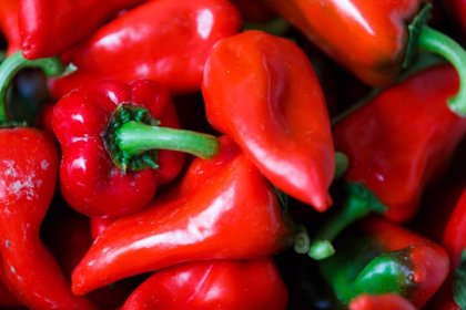 Sweet Pimientos  - C. annuum