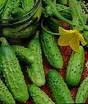Pioneer Pickling