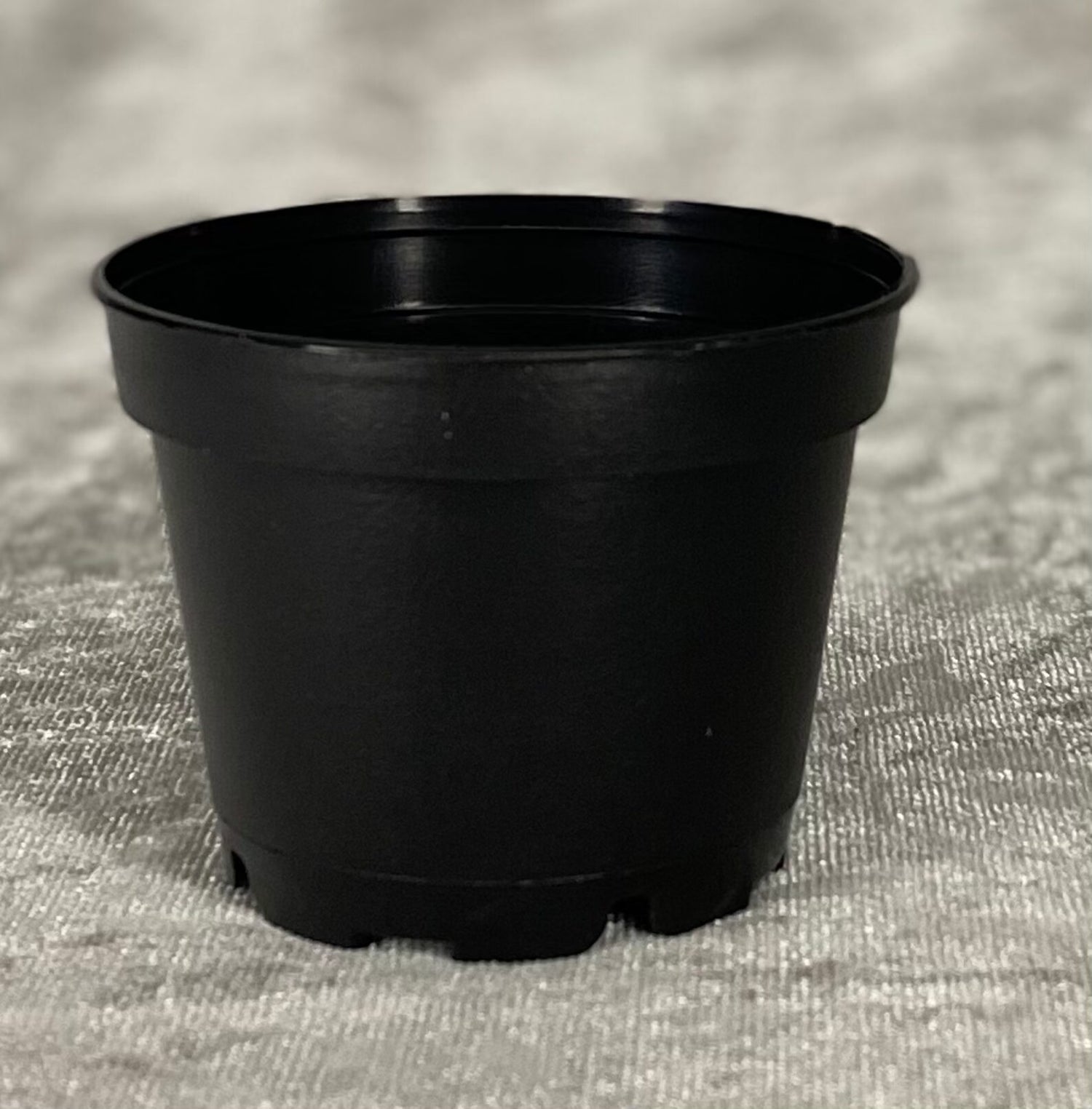 Planteskolepotter 6 cm - 50 stk