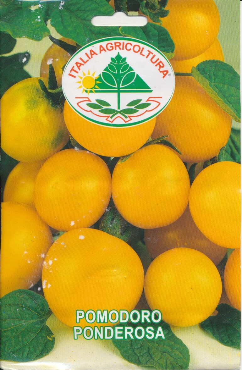 Tomat - Ponderosa - Italia