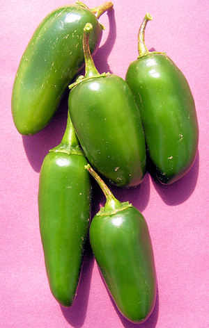 Jalapeno Numex Primavera - Capsicum Annuum