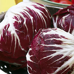 Radicchio - Rossa di Verona