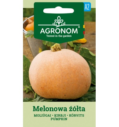Græskar - Melonowa zolta