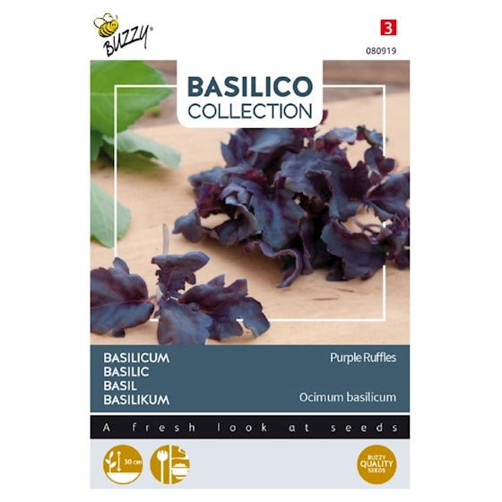 Basilikum - 'Purple Ruffles'