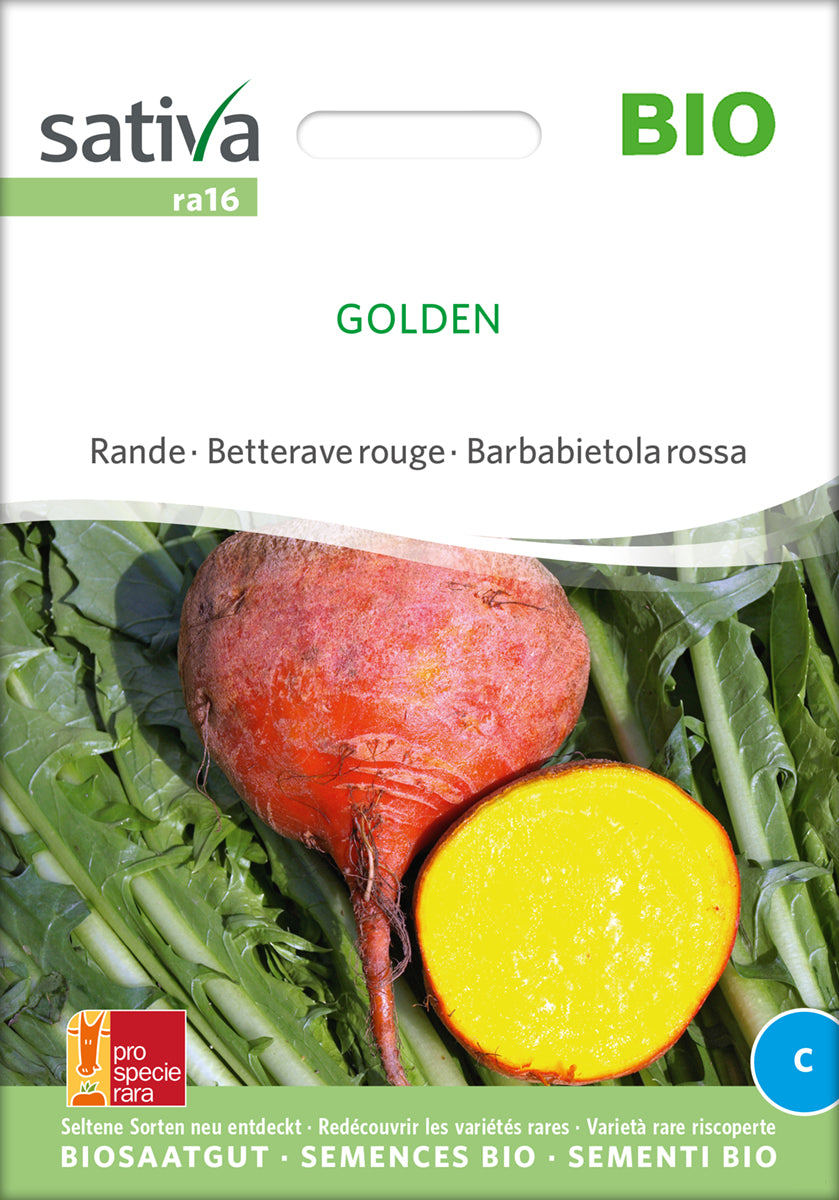 Rødbede - Golden - ØKO