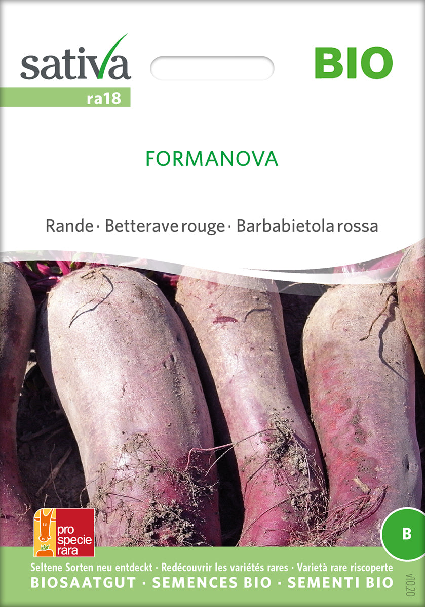 Rødbede - Formanova - ØKO