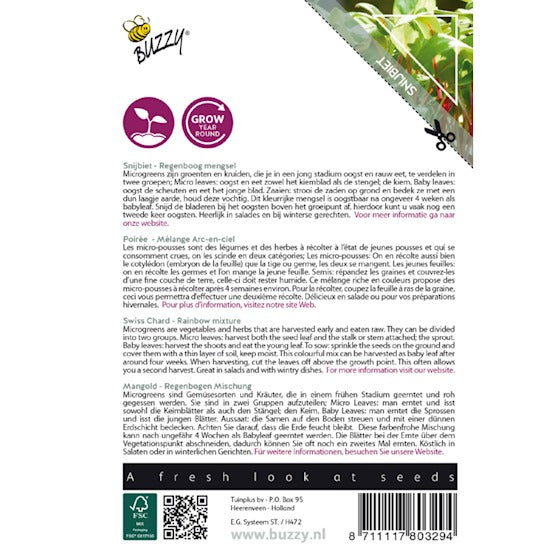 Micro Greens - Bladbede - Rainbow