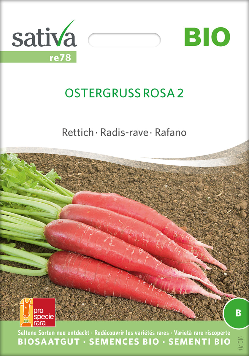 Radise - Ostergruss Rosa 2 - ØKO