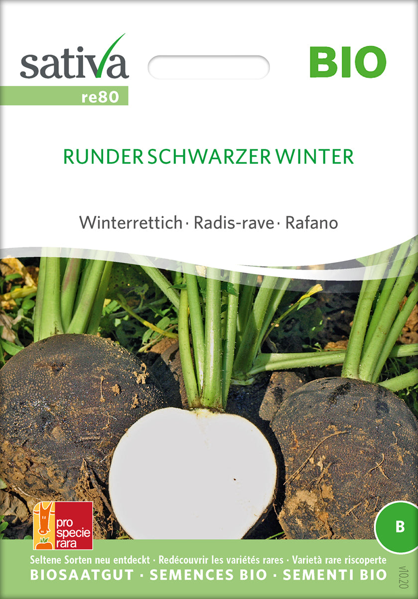 Radise - Runder Schwarzer Winter - ØKO