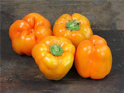 Rewia - Orange peberfrugt