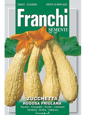 Squash - Rugosa friulana