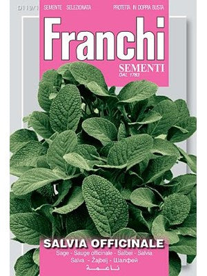 Salvie - Salvia officinalis