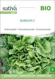 Salat Endivie - Bubikopf 2 - ØKO