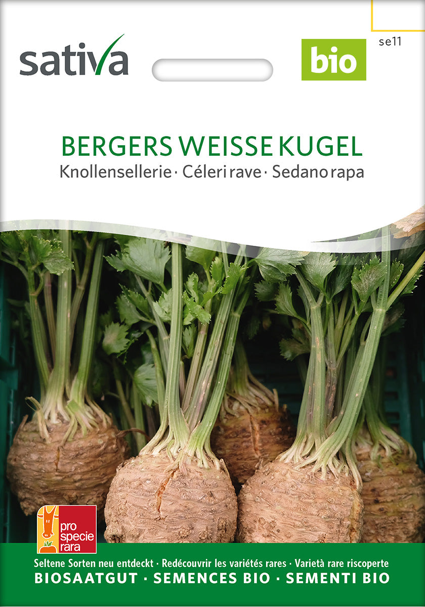 Knoldselleri - Bergers weisse kugel - ØKO